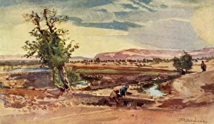 Holy Land Landscape Drucke: The Stream Flowing from the Spring of Elisha, 1902. Creator: John Fulleylove