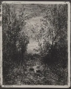 Ein Bach im Wald, Originalimpression aus dem Jahr 1862, gedruckt 1921