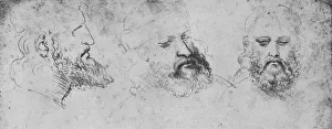 Leonardo Da Vinci Prints Drucke: Studies of the Head of Cesare Borgia from Three Points of View