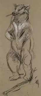 Aberdeen Archives Collection Drucke: Study Of A Bear. Creator: John MacAllan Swan