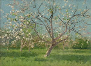 Impressionist Oil On Canvas Drucke: Study of Blooming Trees in an Orchard, around 1900. Creator: Ladislav Mednyanszky