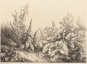 Studium eines Knoblauchs, 1840. Schöpfer: Eugène Delacroix