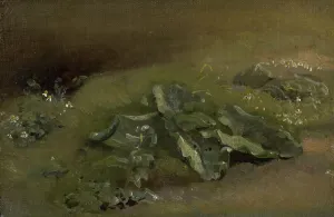 Studie eines Knoblauchs, um 1810 bis 1914 oder um 1828. Künstler: John Constable