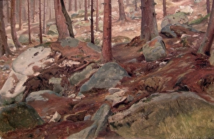 Romantic Era Oil Paintings Drucke: Study of a Forest Floor, 1847. Creator: J. F. Eckersberg