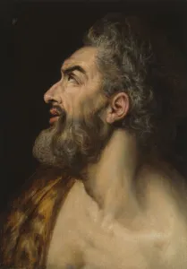 Studium des Kopf eines Bartigen Mannes um das Jahr 1565 vom Künstler Frans Floris