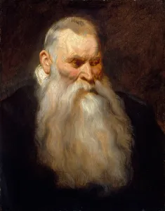 Drucke von Studium des Kopfes eines alten Mannes mit einem weißen Bart um 1617-1620 Anthony Van Dyck Drucke: Studium eines alten Mannes mit einem weißen Bart