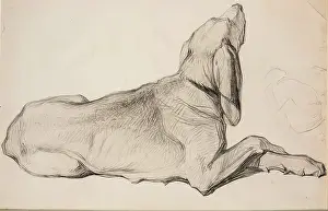 Chalk On Paper Drawings Drucke: Study of a Labrador, c1840s. Creator: John Phillip