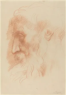Studium eines Mannes Kopf (Rechtsseite). Künstler : Alphonse Legros