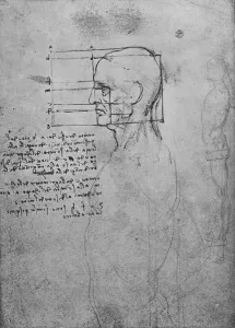 Leonardo Da Vinci Sketches Italy Drucke: Study of a Mans Nude Torso, the Head Squared for Proportion