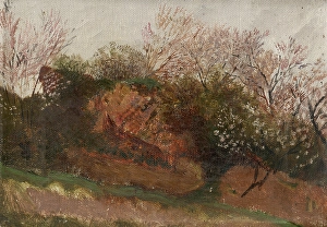 European Heritage Art Gallery Drucke: Study of Nature in Spring, 1900-1910. Creator: Ladislav Mednyanszky