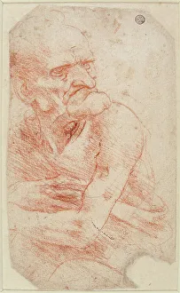 Sanguine On Paper Drawings Drucke: Study of an Old Man, Second half of the 15th century