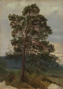 Romantic Era Landscape Drucke: Study of a Pine Tree, 1844. Creator: Adolph Tidemand