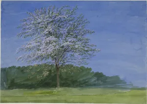 Studium eines Baumes im Blühen um 1835 von William Turner