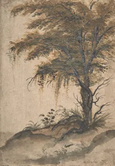 Seventeenth Century Heritage Images Drucke: Study of a Tree, mid-16th-early 17th century. Creator: Marten van Valckenborch