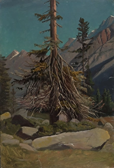 Colorful Mountain Scenery Drucke: Study of Trees in the Alps, 1850. Creator: Knud Baade