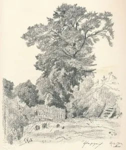 Rural Life In The Countryside Drucke: Study of Trees, c1839-1898, (1898). Artist: Henri-Joseph Harpignies
