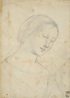 Fine Art Pencil Drawings Drucke: Study of a Woman