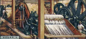 Industrial Machinery Images Drucke: Sugar, 3. Crushing the Canes, Java, 1928