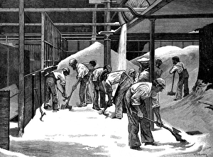 British Industrial Heritage Images Drucke: Sugar-making at the Counterslip Refinery, Bristol, 1873. Creator: F Wentworth