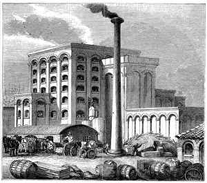 Southampton Drucke: Zuckerfabrik, Southampton, England, die 1851 eröffnet wurde