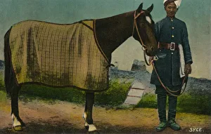 Sycus, 1910