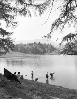 Cumbria Tourist Attractions Drucke: Tarn Hows, Lake District, c1955. Creator: Arthur Charles Kirby Ware