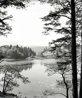 Tarn Hows Lake District Drucke: Tarn Hows, Lake District, c1955. Creator: Arthur Charles Kirby Ware