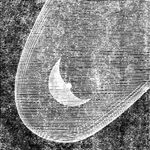 Black And White Astronomy Drucke: Telescopic Appearances of Donati's Comet
