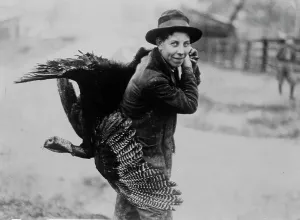 Traditional Thanksgiving Food Drucke: Thanksgiving turkey, between c1910 and c1915. Creator: Bain News Service