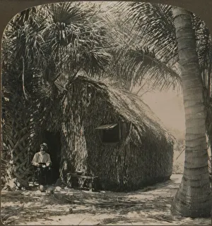 Thatched Cottage Drucke: Thatched Cottage in Cocoanut Grove, Florida, U. S. A. c1900