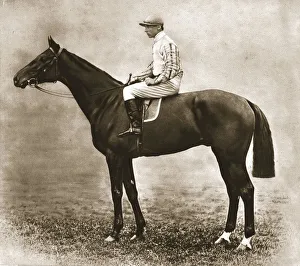British Sportsmen Portraits Drucke: Thunderbolt, 1911. Creator: Unknown