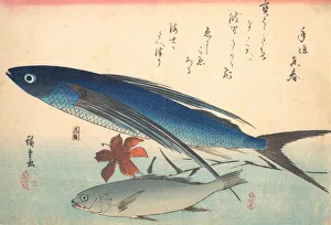Drucke von Tobiuo und Fisch von Ischimoji aus der Serie Uozukushi (Jede Art des Fisches), 1840er Jahre Ando Hiroshige Drucke: Toibiu und Fisch von Ishimochi aus der Reihe Uozukushi (Jeder Art des Fisches)