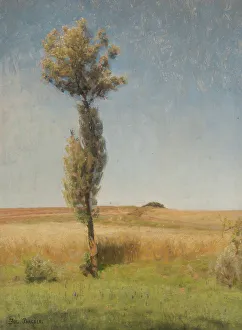 Swedish Heritage Images Drucke: The Tree. Creator: Julius Paulsen