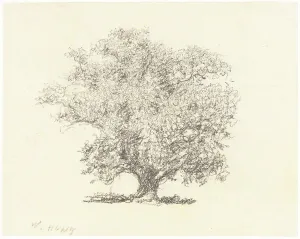 English Heritage Art Gallery Drucke: A Tree in Full-Leaf. Creator: William Henry Hunt