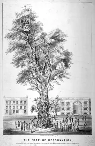 Der Baum der Reformierung, 1853