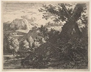 Rural Life In Netherlands Drucke: Tree with roots laid bare alongside a stream, a hilly landscape