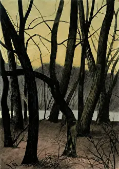 Private Collection Art Sale Drucke: Tree trunks, 1929. Creator: Spilliaert, Leon (1881-1946)