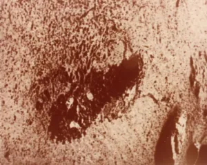 NASA Mars Exploration Drucke: Trench excavated by surface sampler, Viking 1 Mission to Mars, 1976. Creator: NASA