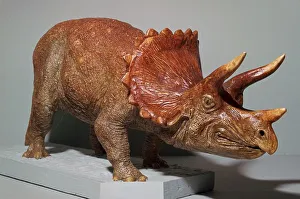 Dreizackiges Riesenwurmmodell