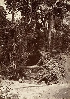 Albumen Silver Print Art Drucke: Tropical Scenery, The Brook El Bano, Chipigana, 1871. Creator: John Moran