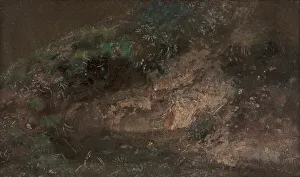 British Botanical Art Drucke: Undergrowth, ca. 1821. Creator: John Constable