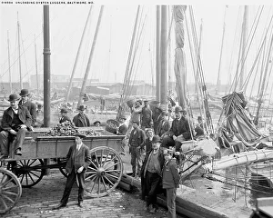 Entladung von Osterlerniedern, Baltimore/Md., 1905? Ersteller unbekannt