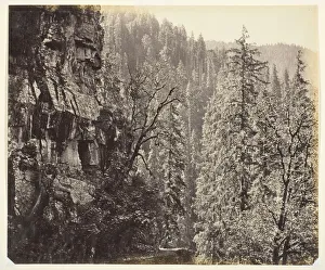 Samuel Bourne Photography Drucke: Untitled [cliffs and trees], c. 1865. Creator: Samuel Bourne