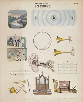 Stringed Instrument Art Drucke: Various musical instruments and sounds, Wurtemberg, c1850