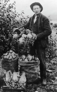 Gewürze und Gemüse zwischen 1900 und 1930; Urheber unbekannt