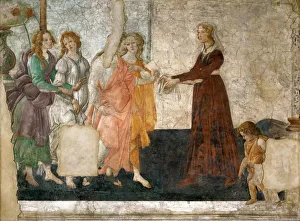 Drucke von Venus und die drei Grazien bieten Geschenke an einem jungen Mädchen, 1484-1486. Gefunden in der Sammlung des Louvre, Paris Sandro Botticelli Drucke: Venus und die drei Grazien, die dem jungen Mädchen Geschenke machen
