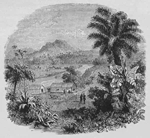 British Military History Pictures Drucke: View in Cayenne, c1880