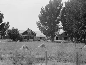 Ein weiterer Blick auf die Farm von E.Houston in Washington im Yakimacounty Westlich von Toppenish 1939 Künstlerin: Dorothea Lange