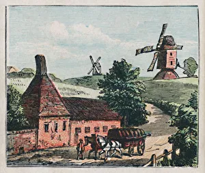 Hertfordshire Countryside Drucke: Ware, c1910