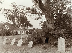 Warwick im Umkreis von Quinby in der Nähe von Accomac County in Virginia zwischen ca. 1913 und 1941 Ersteller: Frances Benjamin Johnston